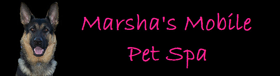 marsha's mobile dog grooming